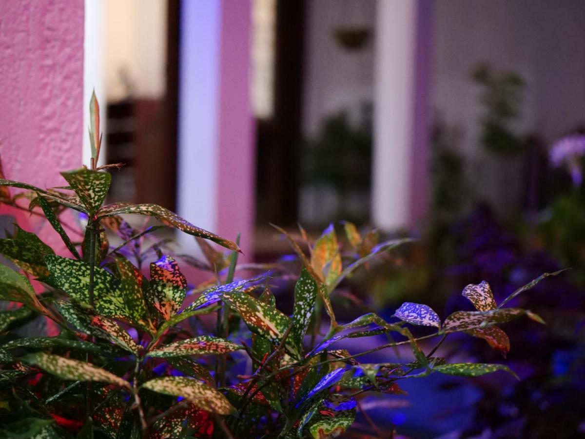 Elegance Oasis, Colombo 3 Hotel Екстериор снимка